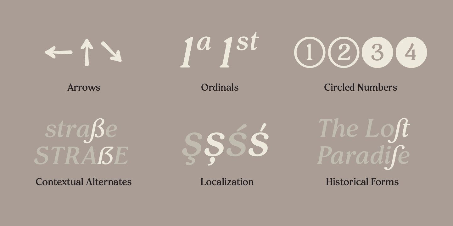 Pockota Medium Italic Font preview
